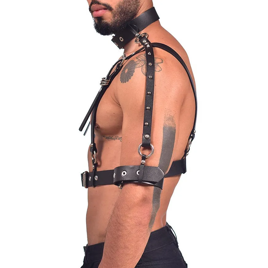 Harness full chest and sleeve