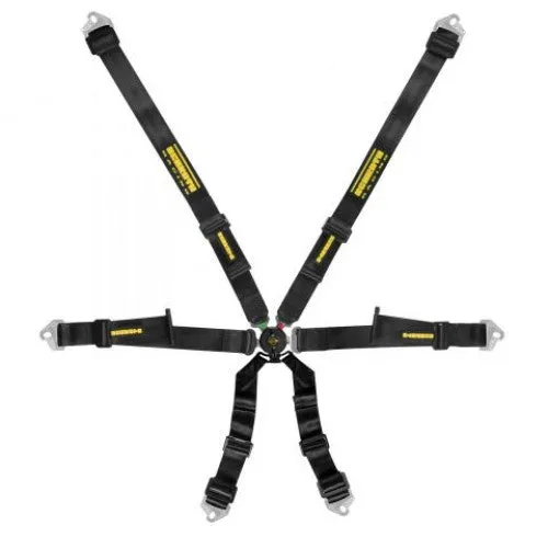 Schroth Profi 2x2 Hans Harness Set with HANS Device Attachment Loops